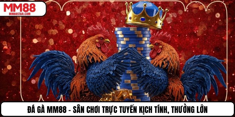Đá Gà MM88 – Sân Chơi Trực Tuyến Kịch Tính, Thưởng Lớn